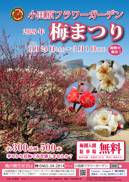 小田原フラワーガーデン　梅まつり